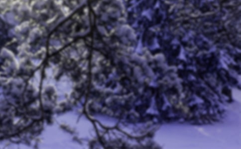 Сѩ��(ji��)���f�f�����x350�䣩