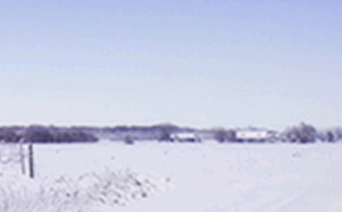 2024Сѩ��(ji��)��ף�������Z�����x350�䣩