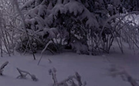 2021ף�H��Сѩ��(ji��)��ף���Z