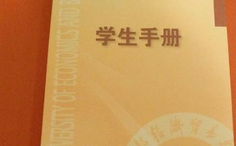 大學生學生手冊工作總結