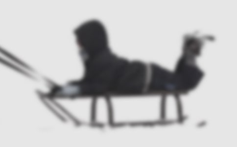 讀《雪橇犬之歌》有感