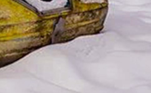 暴雪災害性天氣應急預案