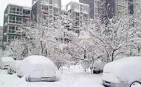 ������ѩ���а�̰�ģ�壨ͨ��17ƪ��