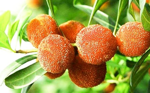 �P�ڡ��Ґۼ��l�ė�÷���̌W��˼��ͨ��5ƪ��