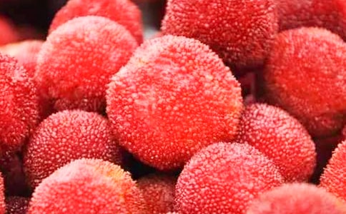 課文《我愛故鄉的楊梅》課教學反思