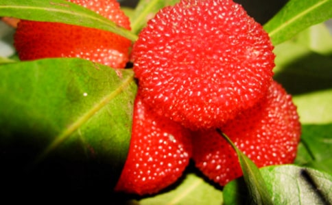 �P(gu��n)�ڡ��Ґ۹��l(xi��ng)�ė�÷���x���