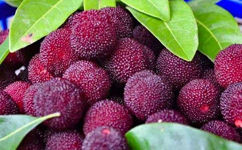 �P�ڗ�÷����ӛ