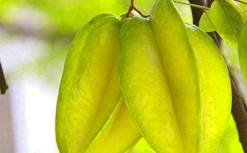 ���꼉�������ҡ��̰������x6ƪ��