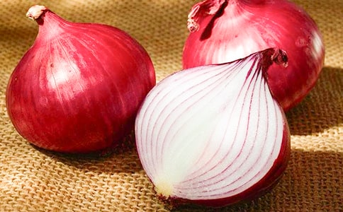 �x���[�^�v�Uӛ�и�