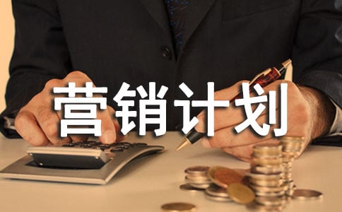 雙十一營銷計劃書范文(精選17篇)