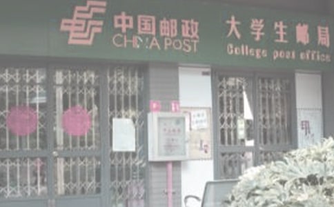 �]�֌������