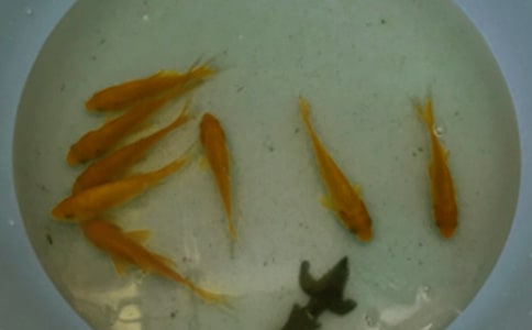 �������~��ُ�N��ͬ