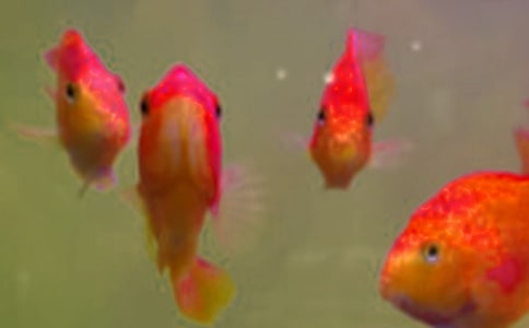 �~��ُ�N��ͬͨ��14ƪ