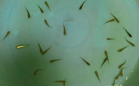 �~��ُ�N��ͬ����