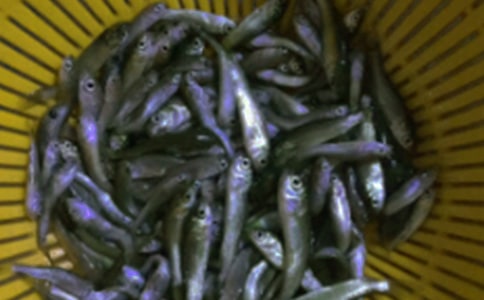 �~��ُ�N��ͬ�����]��