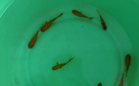 �~��ُ�N��ͬ����15ƪ