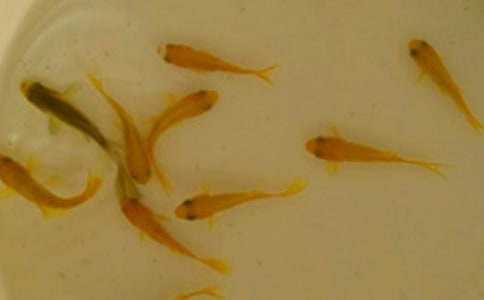 �~��ُ�N�ĺ�ͬ��������ͨ��10ƪ��