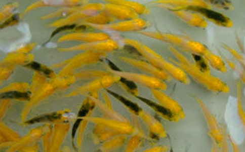 �~��ُ�N��ͬ������15ƪ��