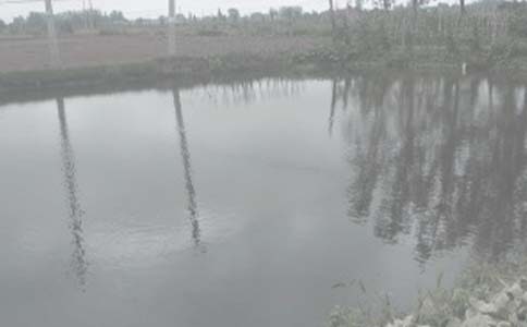 �~���I�u�ĺ�ͬ���������x12ƪ��