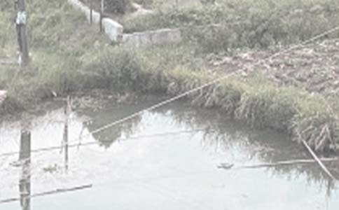 魚塘租賃合同15篇