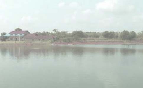 魚塘租賃合同優秀【15篇】