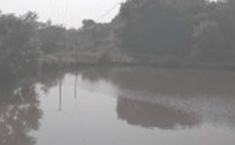 �~�����޺ú�Ŀ�Ч���u��棨���x6ƪ��