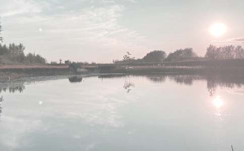 �~�����U��ͬ(����15ƪ)