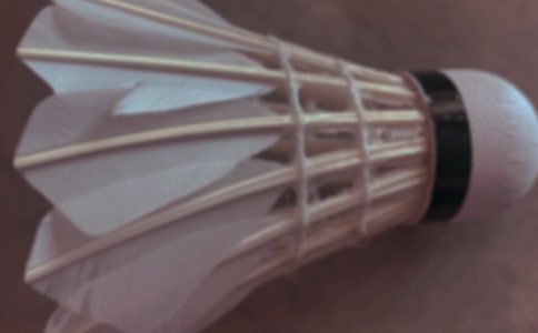 ��ë���ӷ������\15ƪ