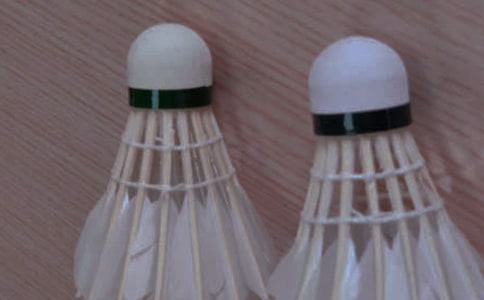 羽毛球訓(xùn)練方案大全模板