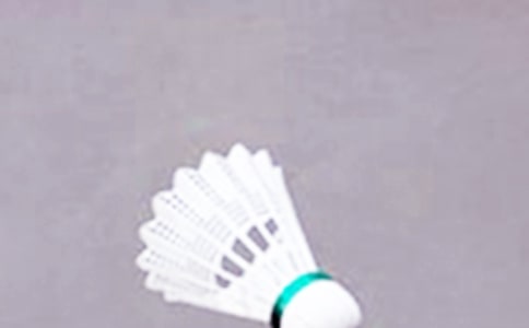 羽毛球比賽方案(15篇)