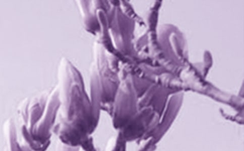 ���m����ӛ���F������x��