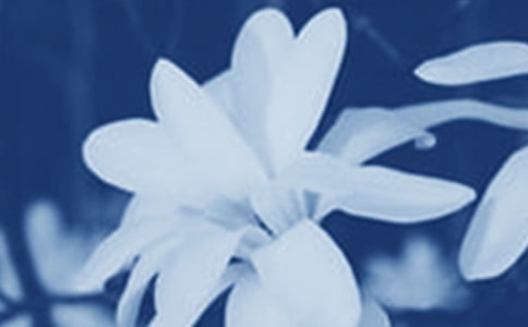 ���m�����茑Ԋ��