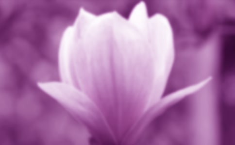 ���������m������400��_С�W������