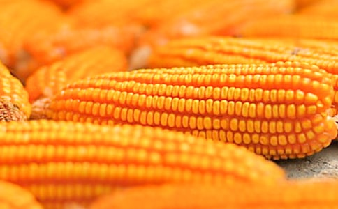 ���ײ�ُ(g��u)��ͬ(9ƪ)