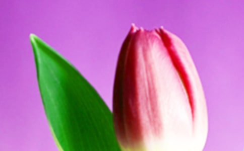 �P���������Ψ��Ԋ�~��ȫ