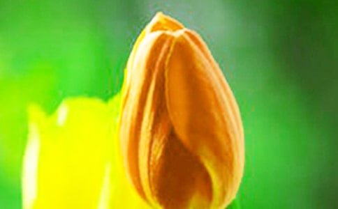 �а�ˇ�g(sh��)������̰�