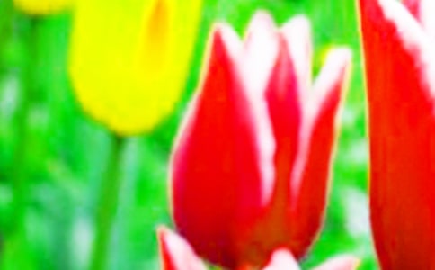 ��������L��ӛ�����x22ƪ��