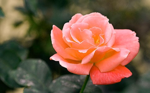 �¼����^����ӛ����