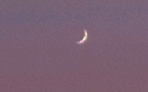 ���Ӷ����������