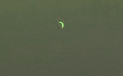 ��������Ԋ���f�f��ͨ��50�䣩