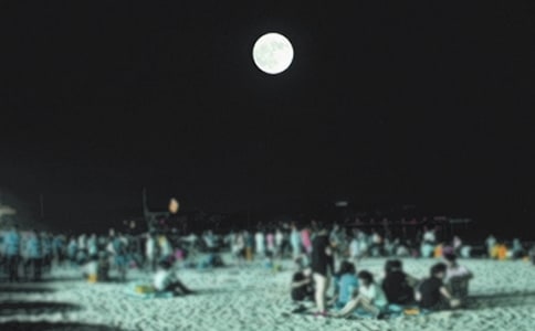 �茑�A�Ǯ�����ȱ��Ԋ����