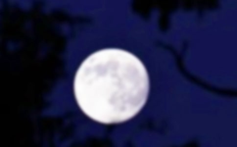 �����A��Ԋ��