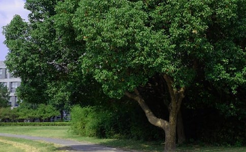 ���õ��簲ף���Z�Z�71��