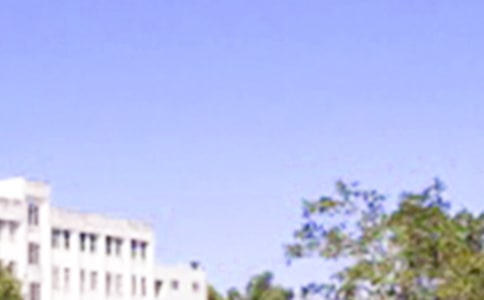 2024年有關(guān)適合給朋友的早安問候語匯編50條