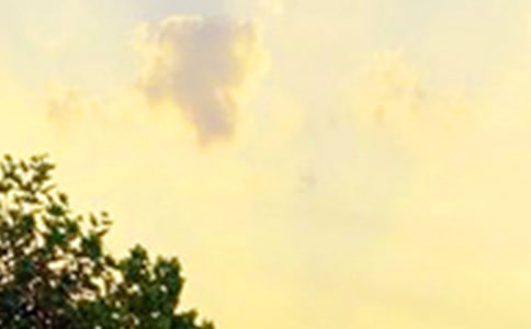 �簲����������һ��Ԓ15ƪ[ͨ��]