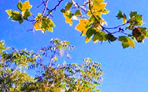 �����A��2022�����õ��簲΢��ף���Z���\34��