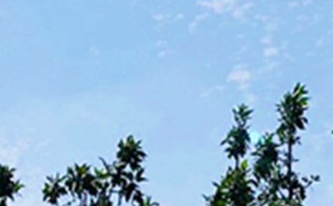 �����A��2020���簲������Ӻϼ�37�l