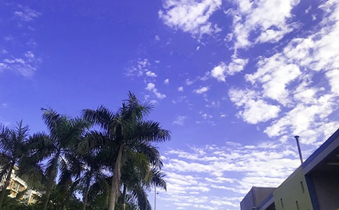 �簲�������M�M���f�f