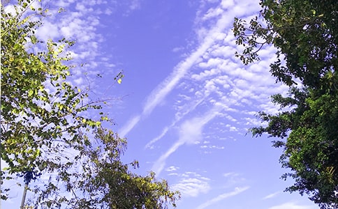 ���؂䡿Ψ�����簲�����Z��ϼ�59��