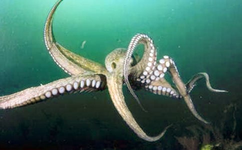 ���~��ͨ�DƬ���P��